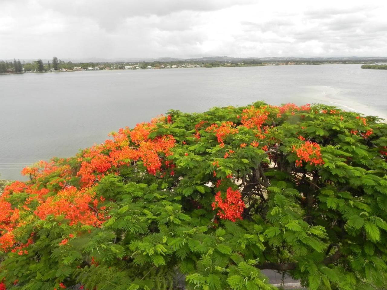 Leisure-Lee Holiday Apartments Ballina Εξωτερικό φωτογραφία